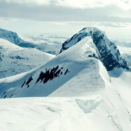 Skjolden Resort 아파트 스키올덴