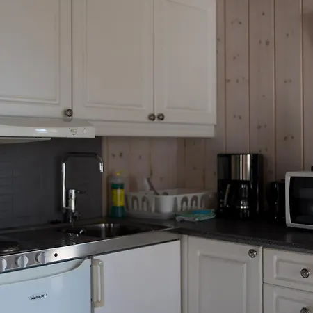 Skjolden Resort Leilighet Skjolden